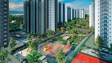 Layout Gallery Image